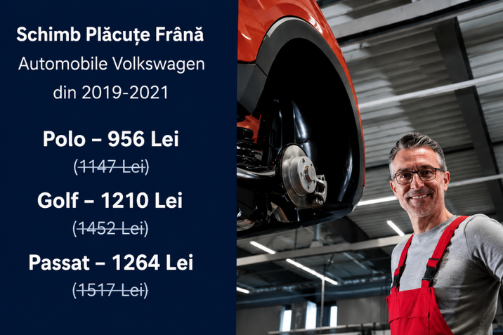 Oferta Placute Frana