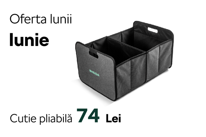 oferta lunii