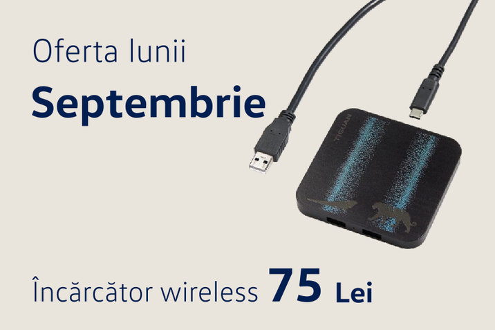 oferta lunii