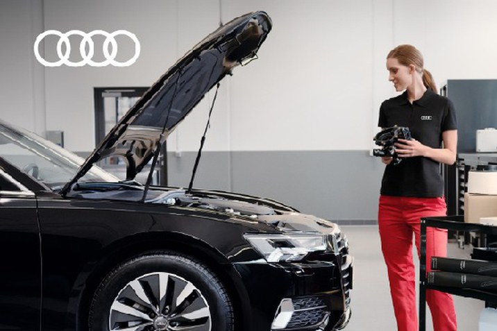 loializare clienti Audi