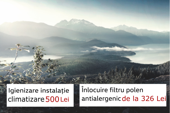 Igienizare Climatizare