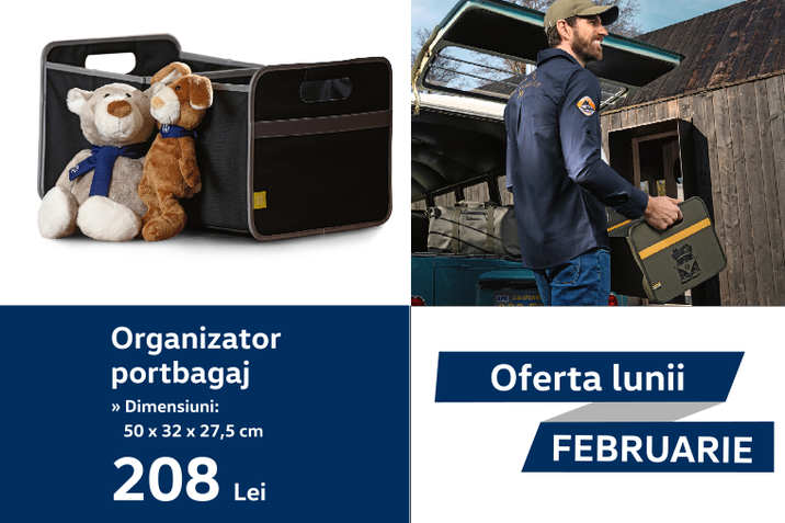 oferta lunii