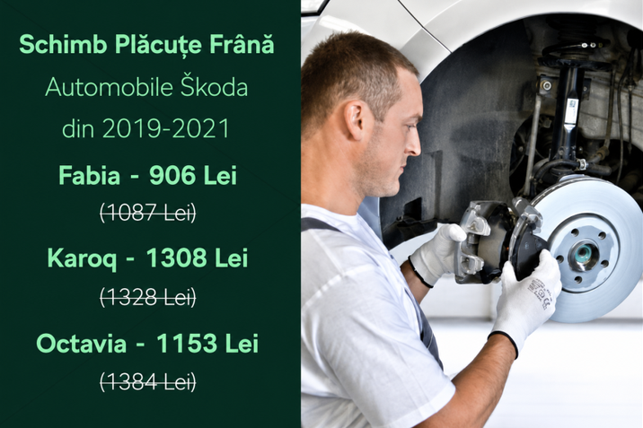 Oferta Placute Frana